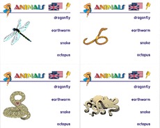 Holzcomputer-animals 14.pdf